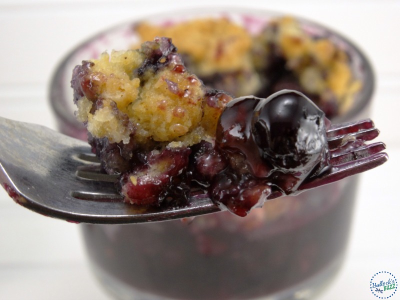 Blueberry Cobbler Fresh From Florida bite