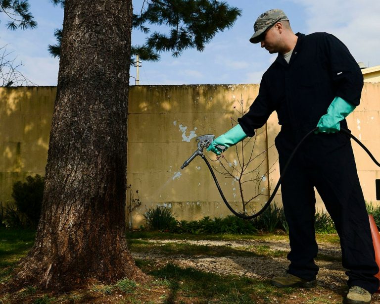 More Humane Ways To Deal With Pest Control
