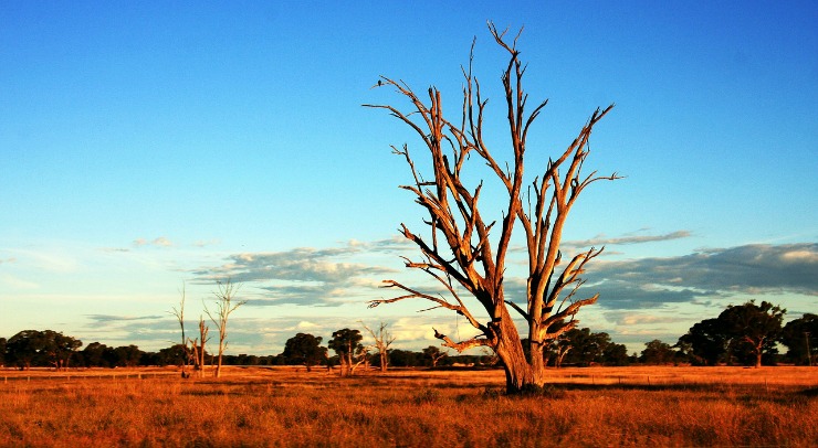 australia the outback