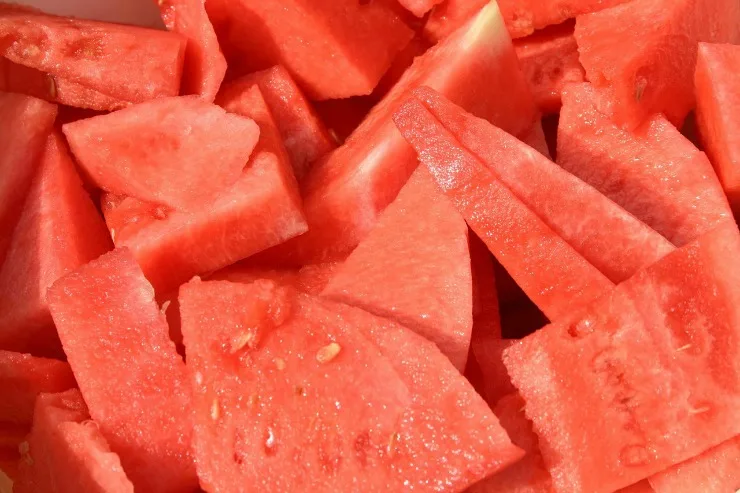 fresh from florida cut watermelon