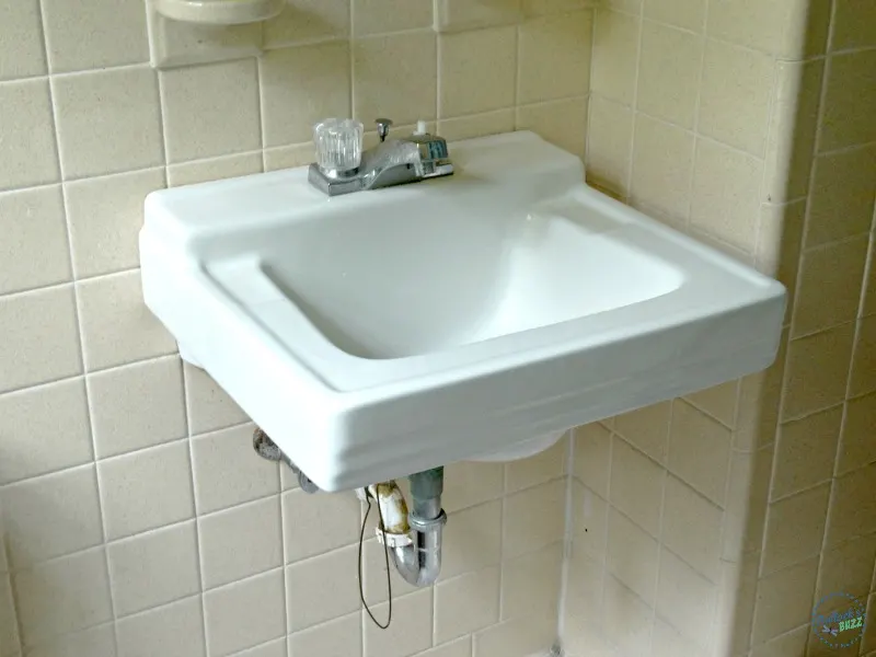 Delta Faucet before master bath sink