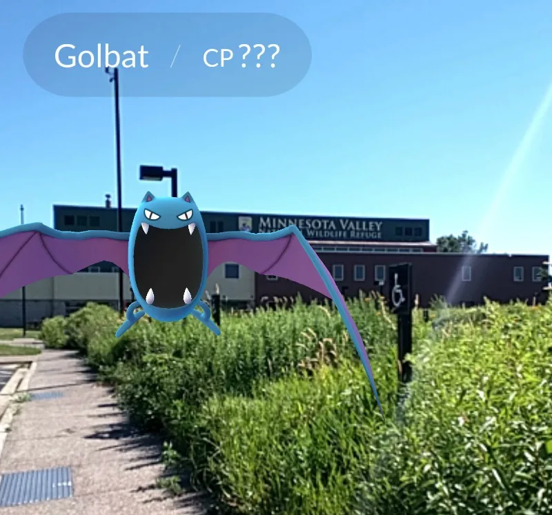 Pokémon-Go golbat