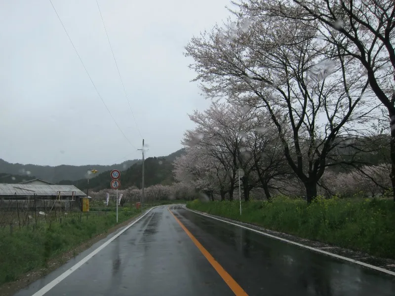 wet weather driving tips main