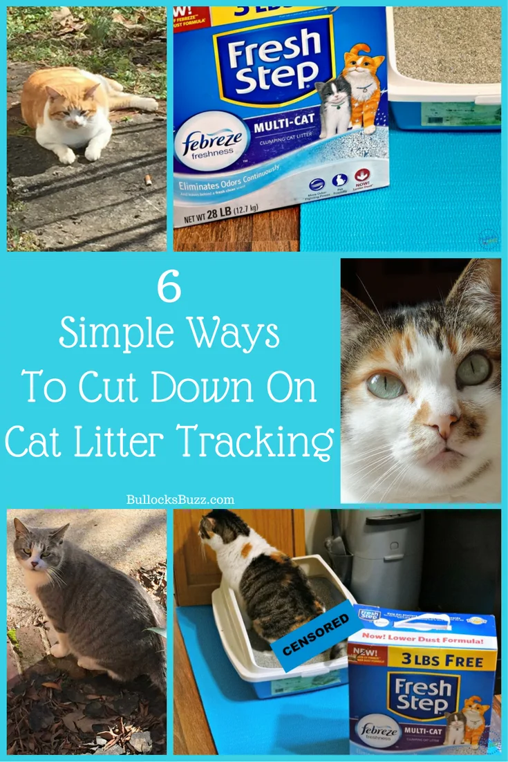 6 simple ways to cut down on cat litter tracking main