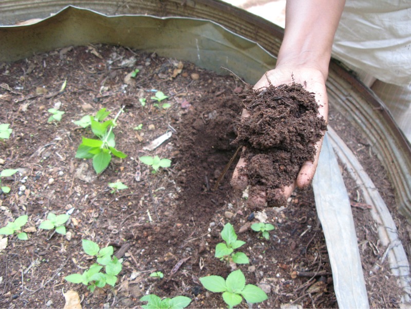 Great Ways To Make Your Home Environmentally Friendly compost and garden