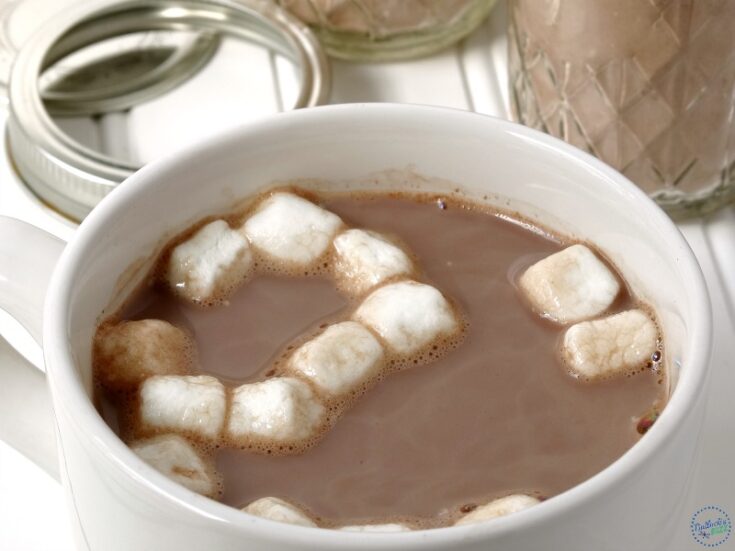 mug of hot chocolate made with this homemade hot chocolate mix