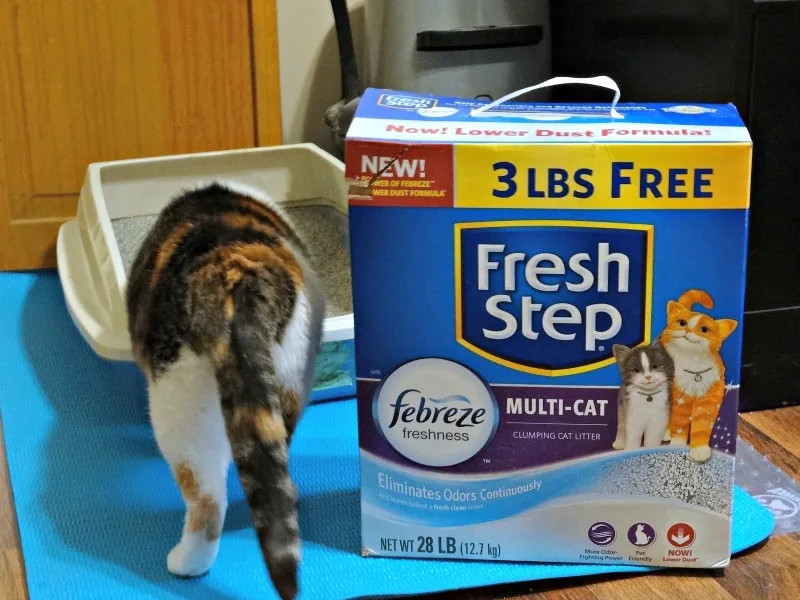 ways to stop cat litter tracking cat in box