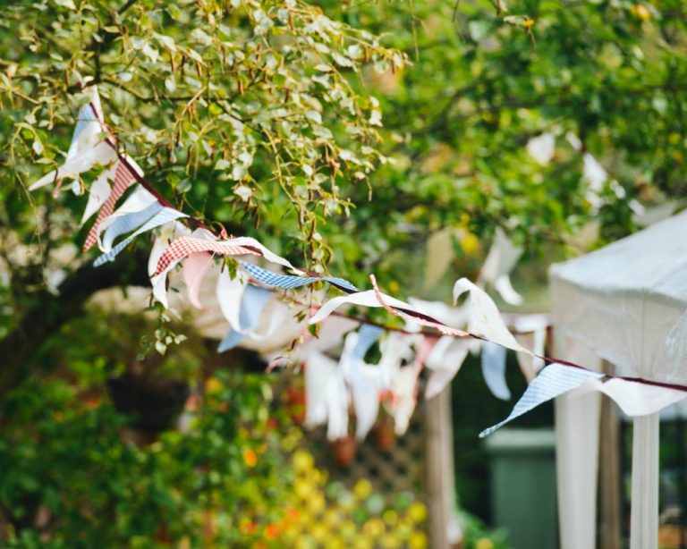 Don't Have A Garden Party Until You Have Done These 4 Things!