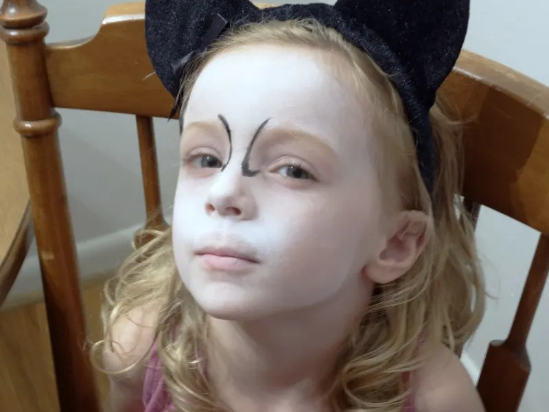 kitty cat face painting tutorial-add-lines-from-inside-corner-of-eye-to-nose-and-up