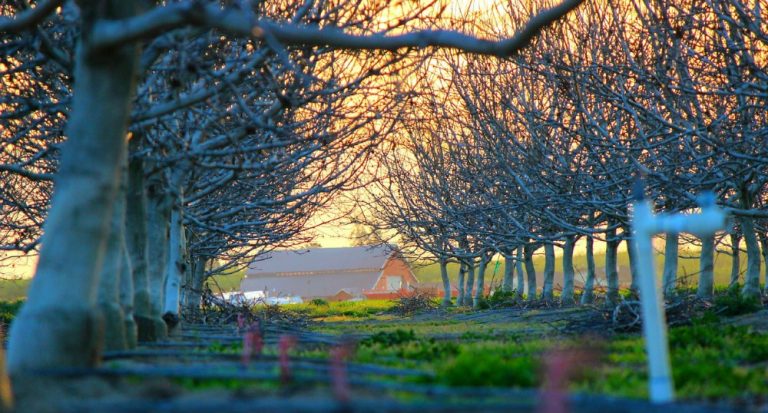 Why Moving To The Country Can Be A Real Breath Of Fresh Air
