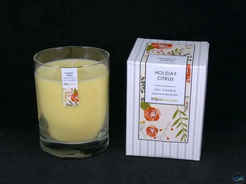 Signature Glass Soy Candle - Bright Endeavors