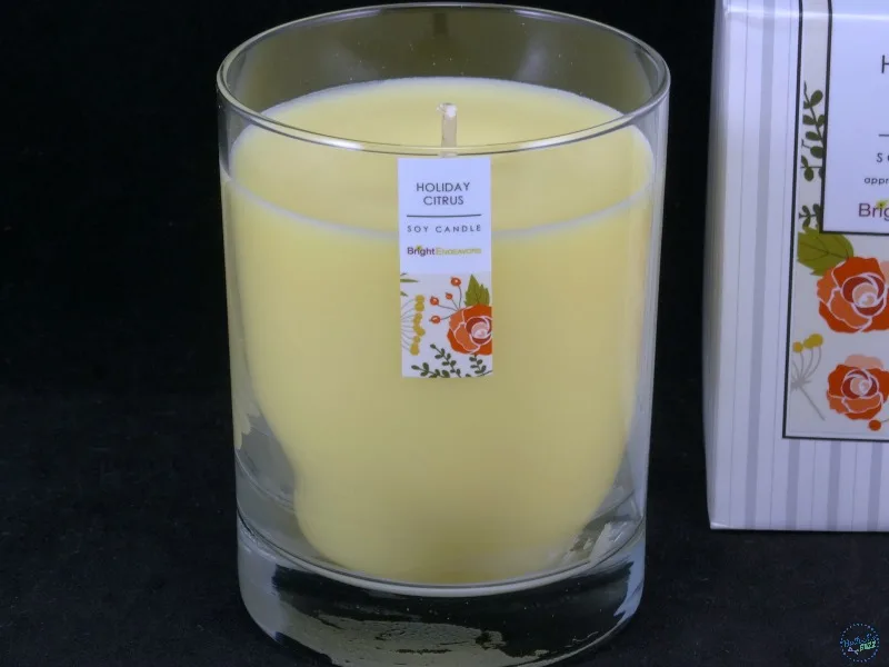 Signature Glass Soy Candle - Bright Endeavors