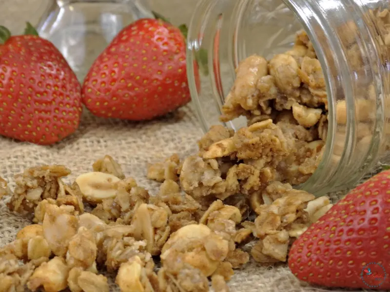 Peanut Butter and Jelly Granola with strawberries