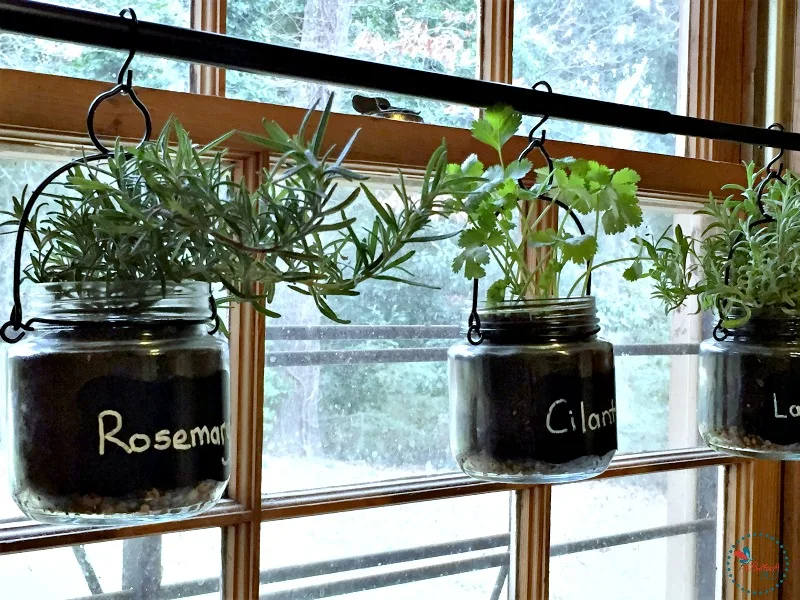 DIY Indoor Hanging Herb garden hang on rod and finished