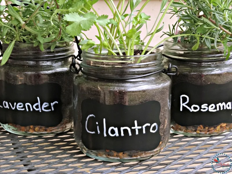 DIY Indoor Hanging Herb Garden add labels