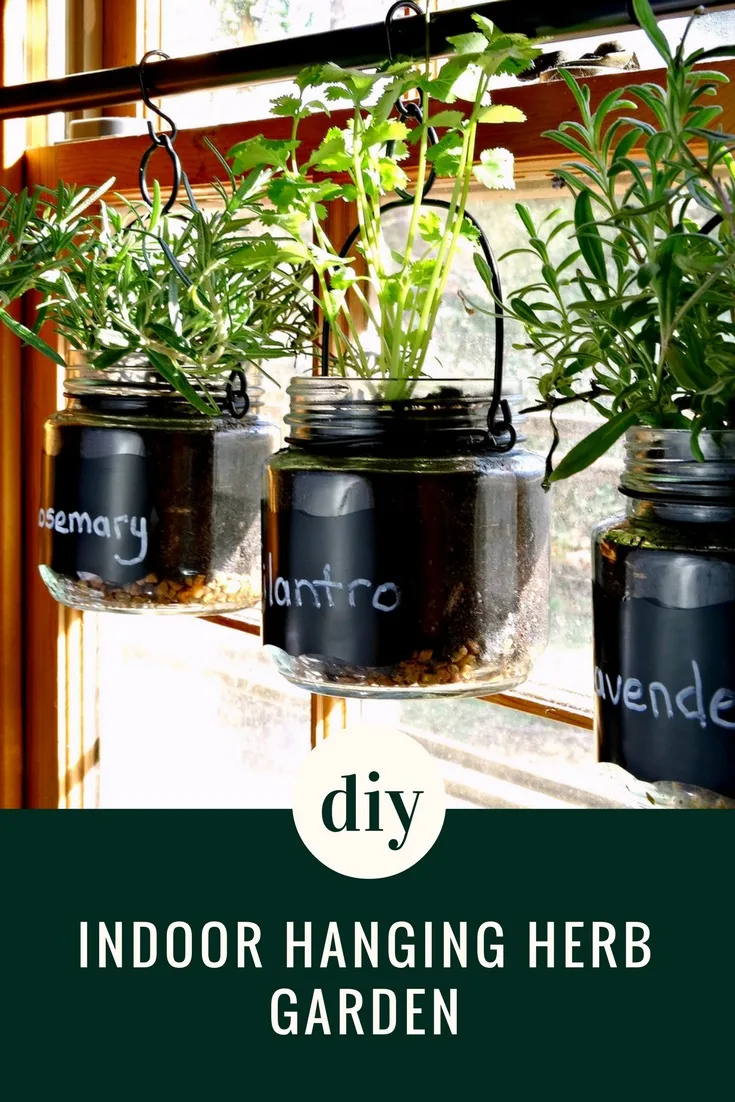 Liven up your recipes with fresh herbs from your own DIY Indoor Hanging Herb Garden! This easy DIY turns a few simple materials into a great herb garden!