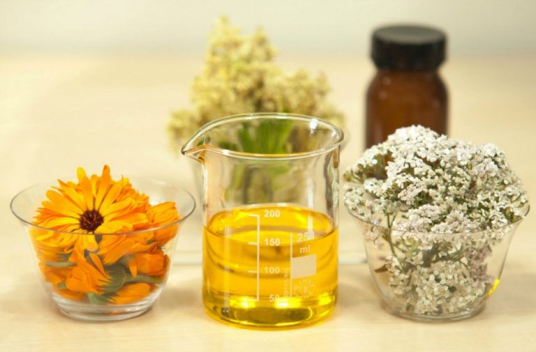 Natural Pest Control Solutions That Keep Your Family Safe