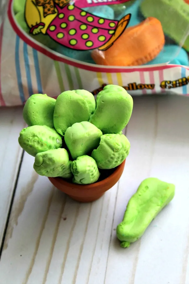 Edible Succulents made with Circus Peanuts and Mini Flower Pots found at the Dollar Store