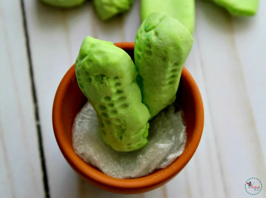 Edible Succulents place sliced Circus Peanuts one at a time into the mini flower pot