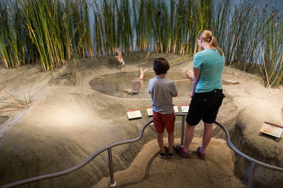 wildlife education center in Box Elder County