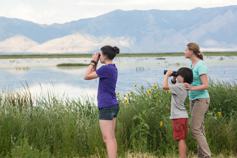 Bear River Migratory Bird Refuge in Box Elder County