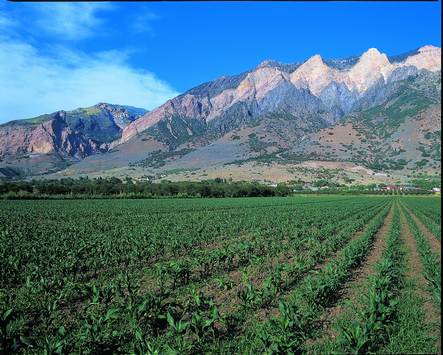 mountains in Box Elder County