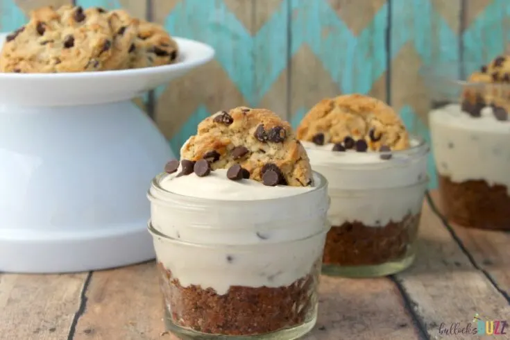 chocolate chip cookie dough cheesecakes