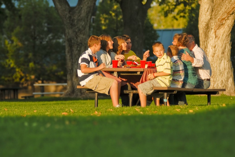 picnic in the park Box Elder County