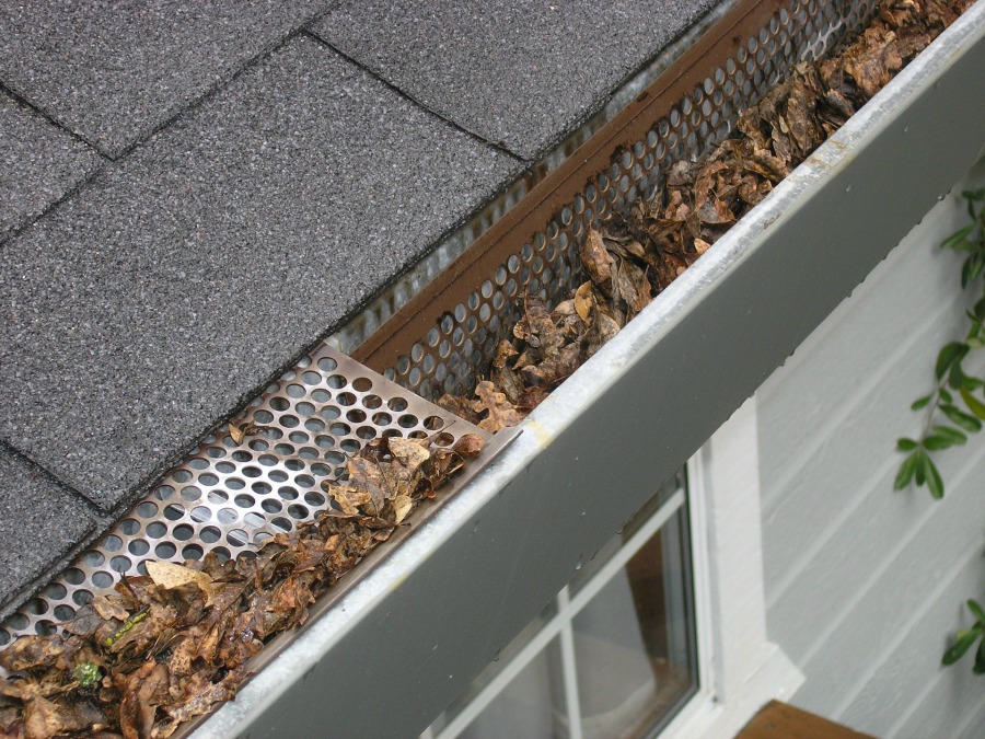 Signs Your Gutters Need Cleaning