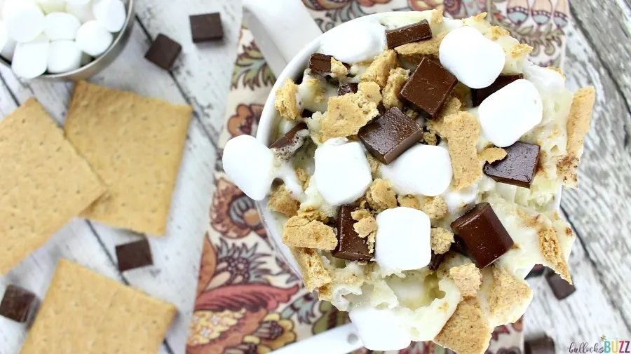 A delectably ooey and gooey microwavable S'mores Mug Cake recipe! No campfire needed.