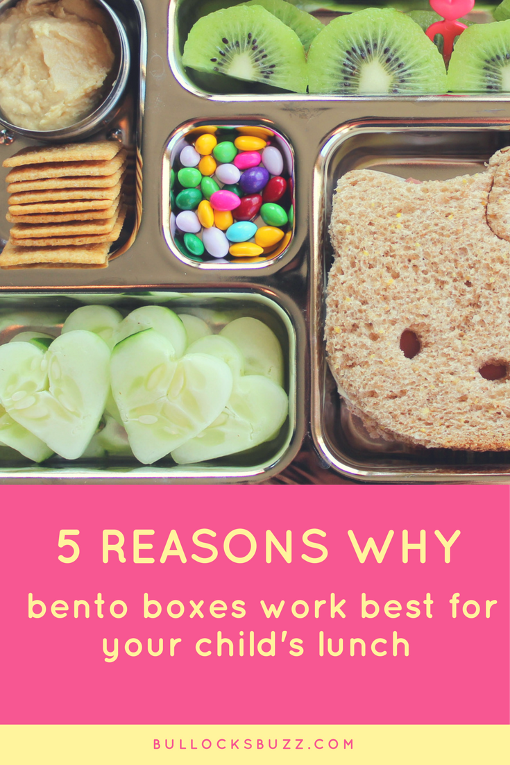 Why Get Yourself a Bento Lunch Box: 5 Benefits to Enjoy - Ecococoon ™