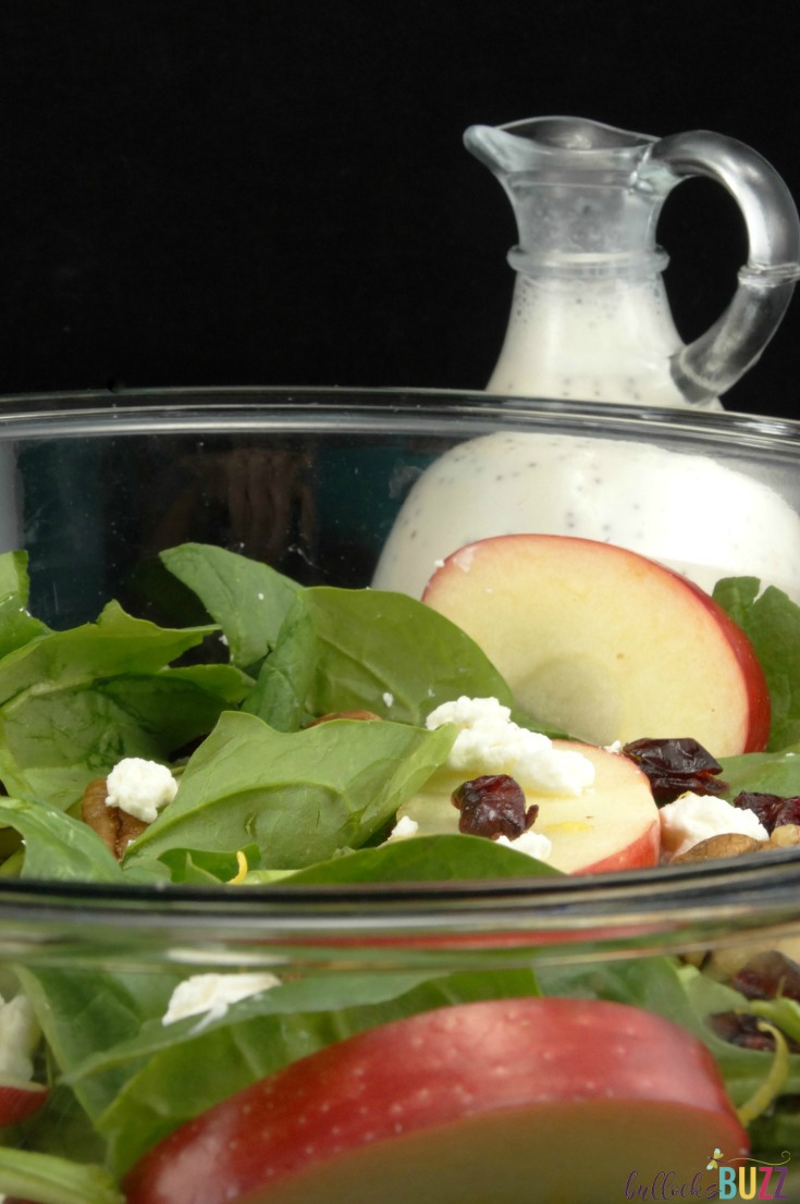 Crisp apples, sweet dried cranberries, hearty walnuts and goat cheese are tossed with a homemade delectable creamy poppy seed dressing in this Fresh Fall Salad with Poppy Seed Dressing recipe..