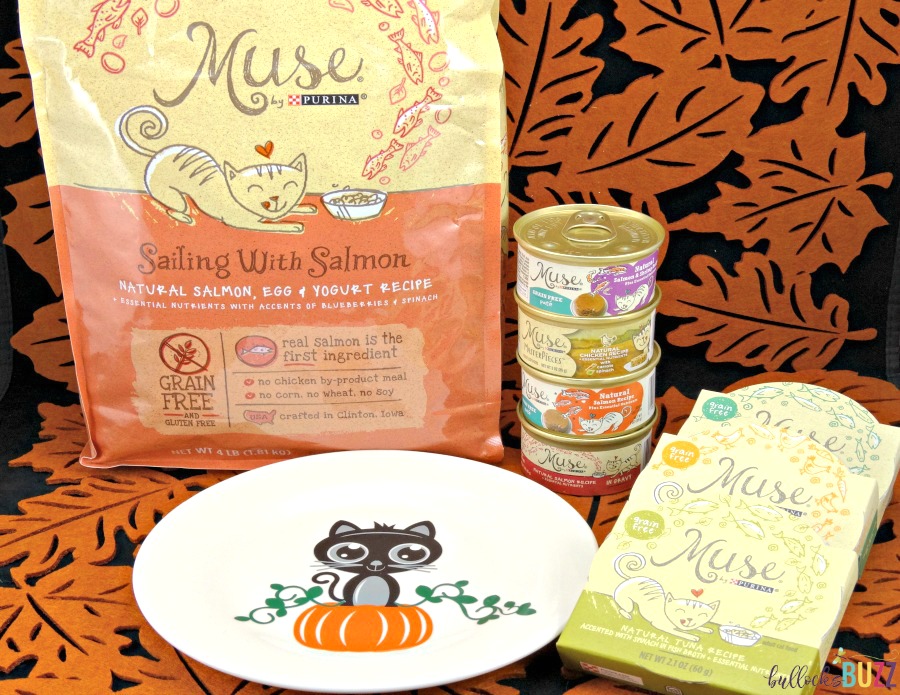 DIY Cat Food Plate in front of bag and cans of Purina Muse cat food