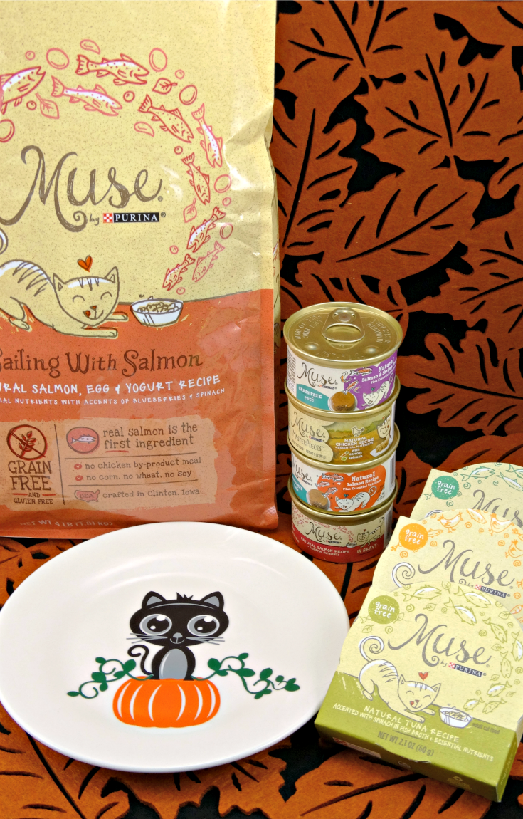 Muse dry cat store food