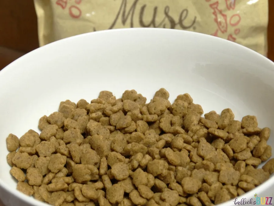 Purina Muse Dry Food in a bowl
