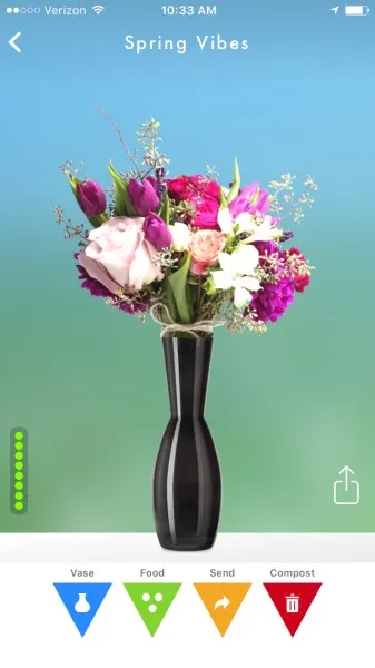 flowerling app my flowers in a vase