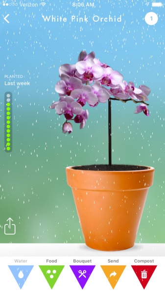 flowerling app watering my flower