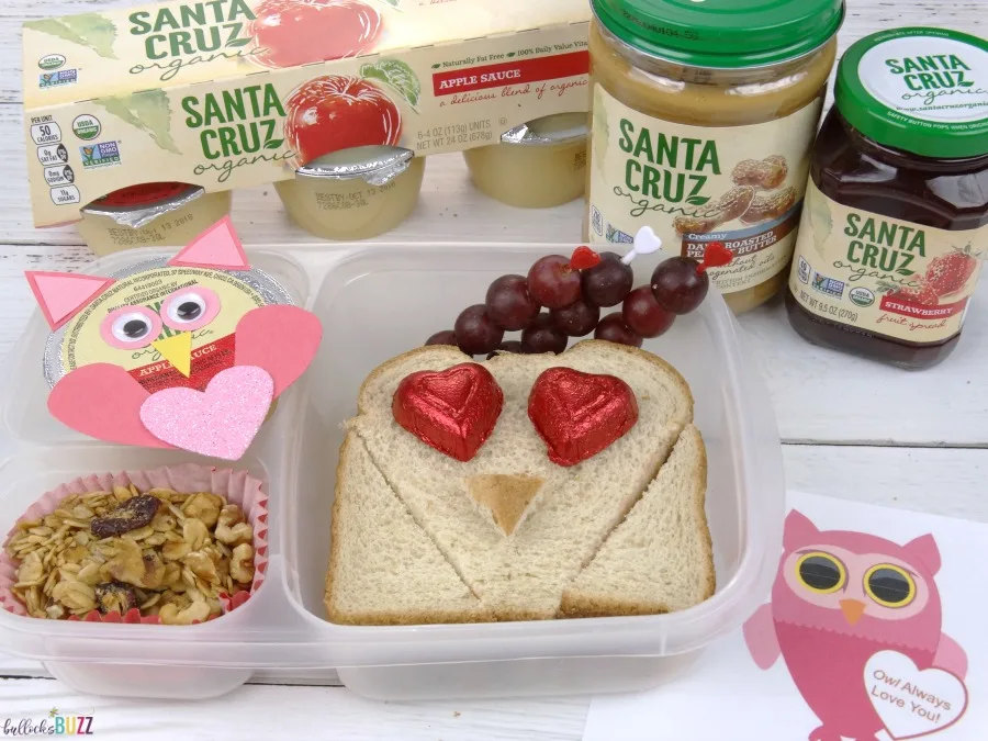 Valentine's Day Lunch for Kids owl themed lunch