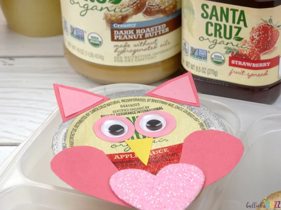 Valentine's Day Lunch for Kids with Santa Cruz Organics