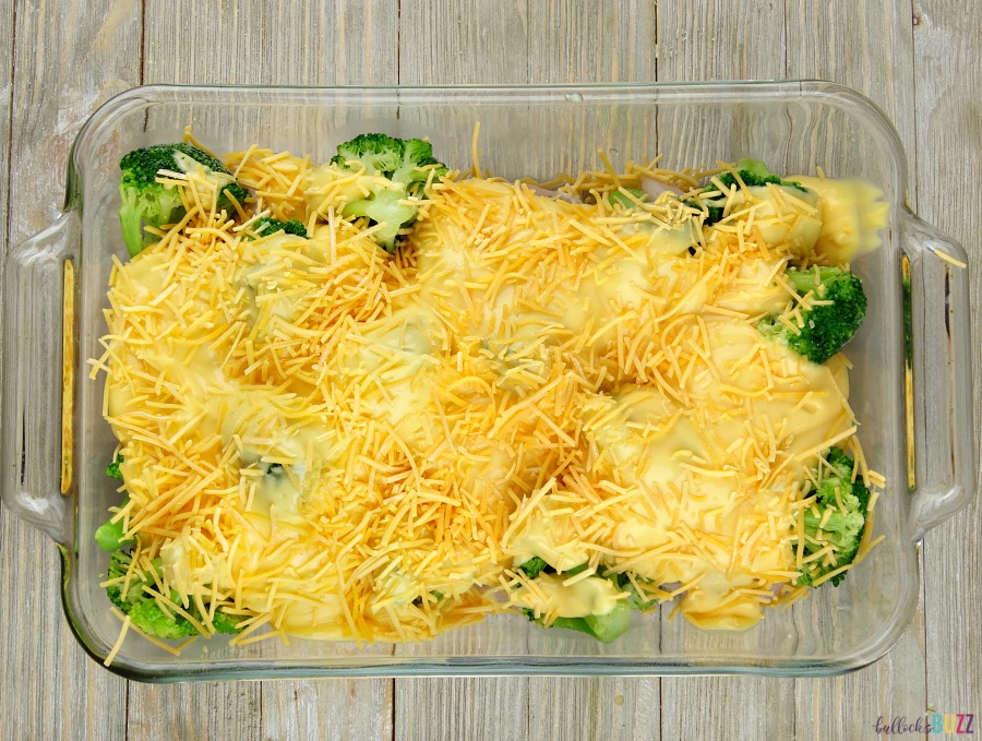 spread the sauce over the chicken and broccoli and top with shredded cheddar