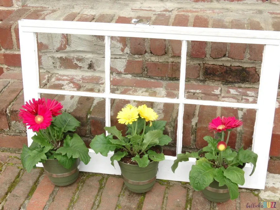 front view of DIY Upcycled Window Flower Planter