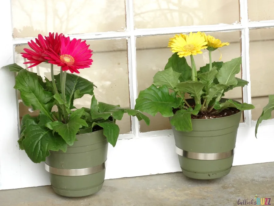  Upcycled Window Flower Planter close up