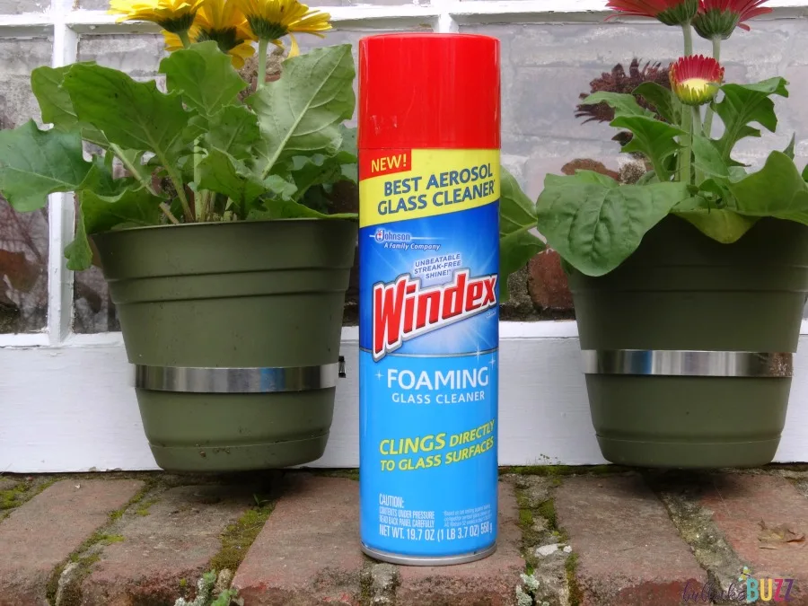 Windex Foaming Cleaner in front of DIY Upcycled Window Flower Planter