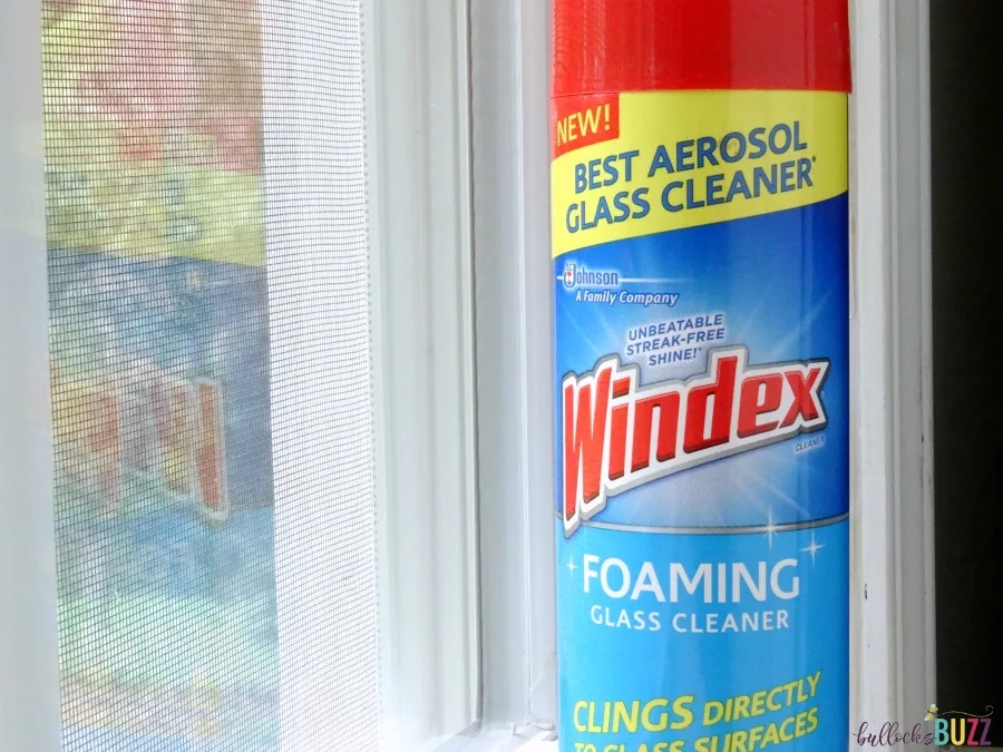 new Windex Foaming Cleaner sitting by clean window