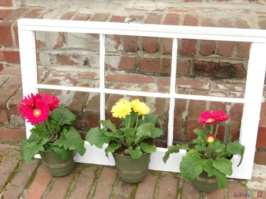DIY Upcycled Window Flower Planter container gardening idea