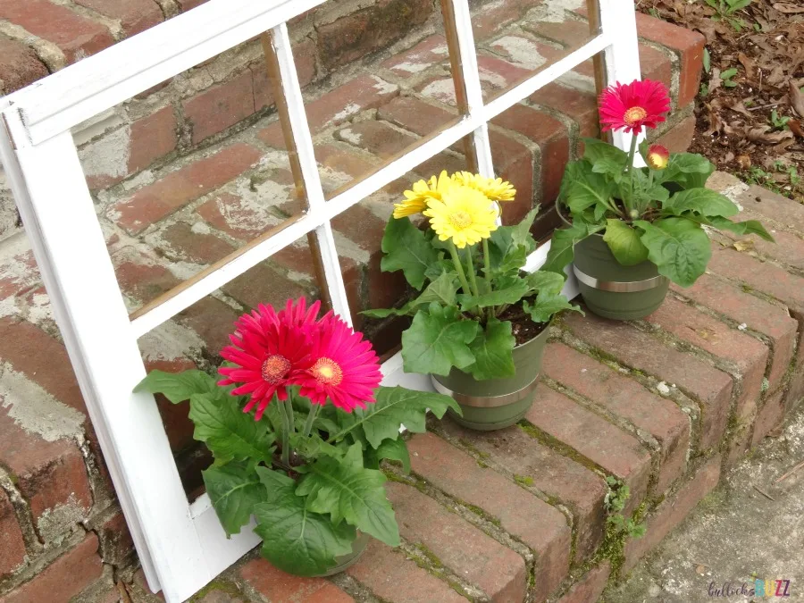 DIY Upcycled Window Flower Planter side view