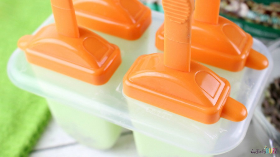 Chocolate Mint Popsicles cover and freeze