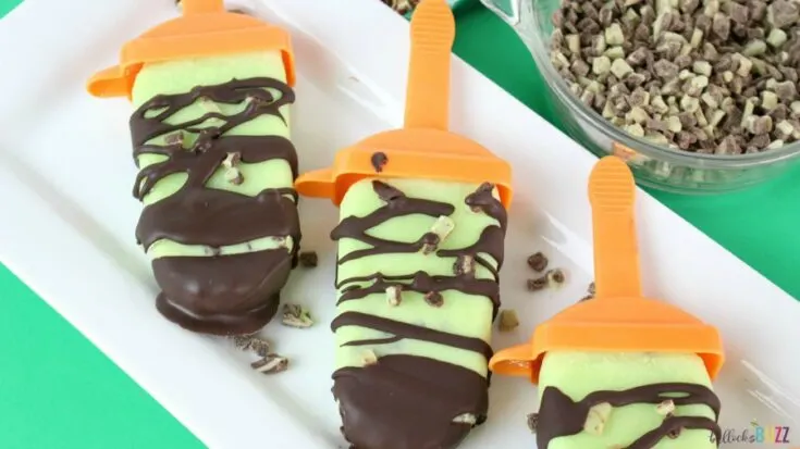 Chocolate Mint Popsicles - Homemade Popsicle Recipe