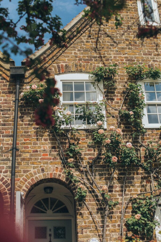 White windows in a brick home with flowering vines going up the brick