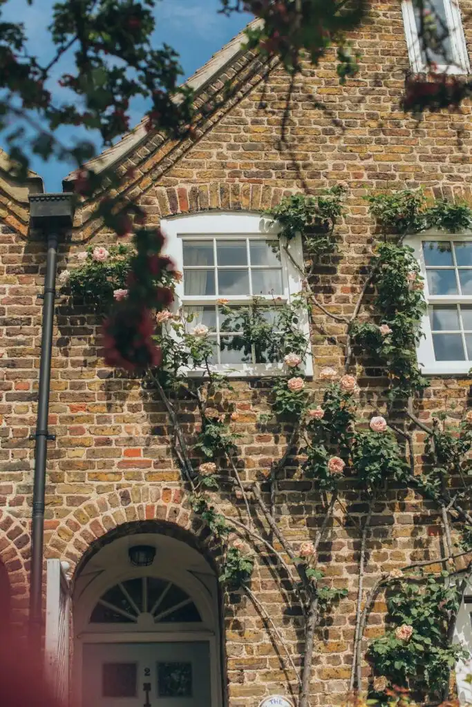 White windows in a brick home with flowering vines going up the brick